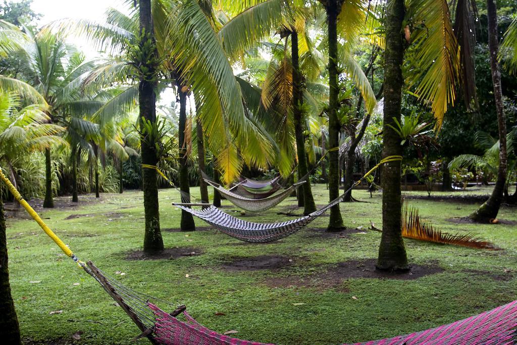 Turtle Beach Lodge Tortuguero Exterior photo